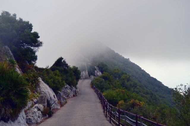 Gibraltar Fog